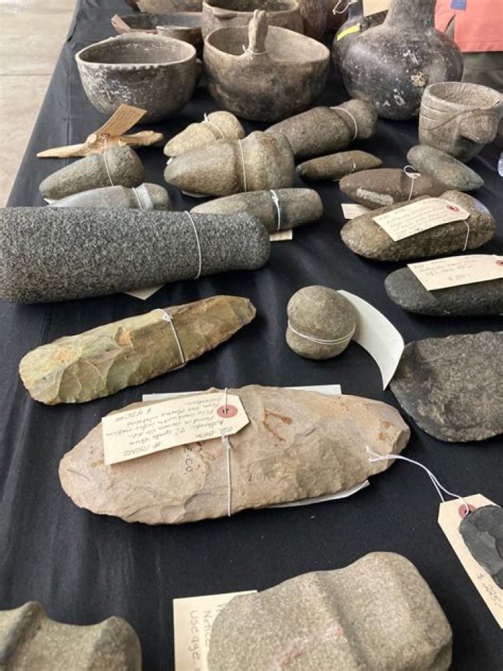 8,000-Year-Old Native American Artifacts Found In Alligator Stomach