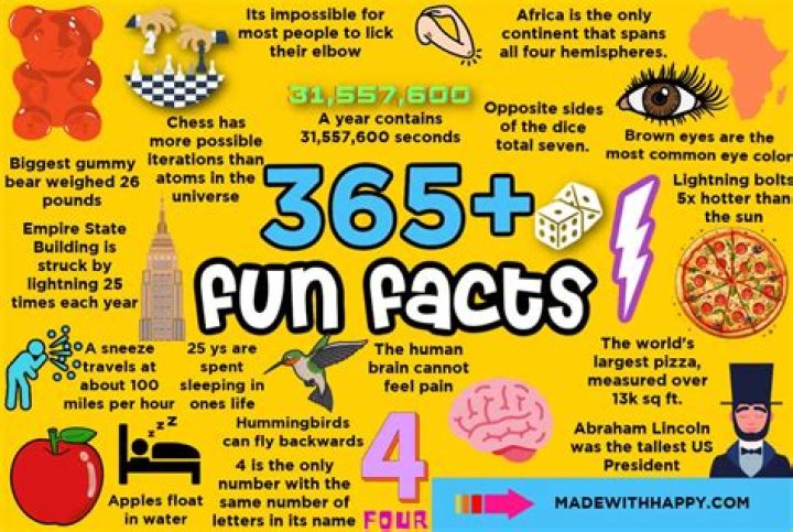 99 Interesting And Fun Facts That Are Perfect For Trivia Night