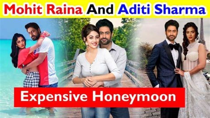 Aditi Raina Wiki [Mohit Raina's Wife] Biography, Age, Family, Caste, Net worth, Height & More