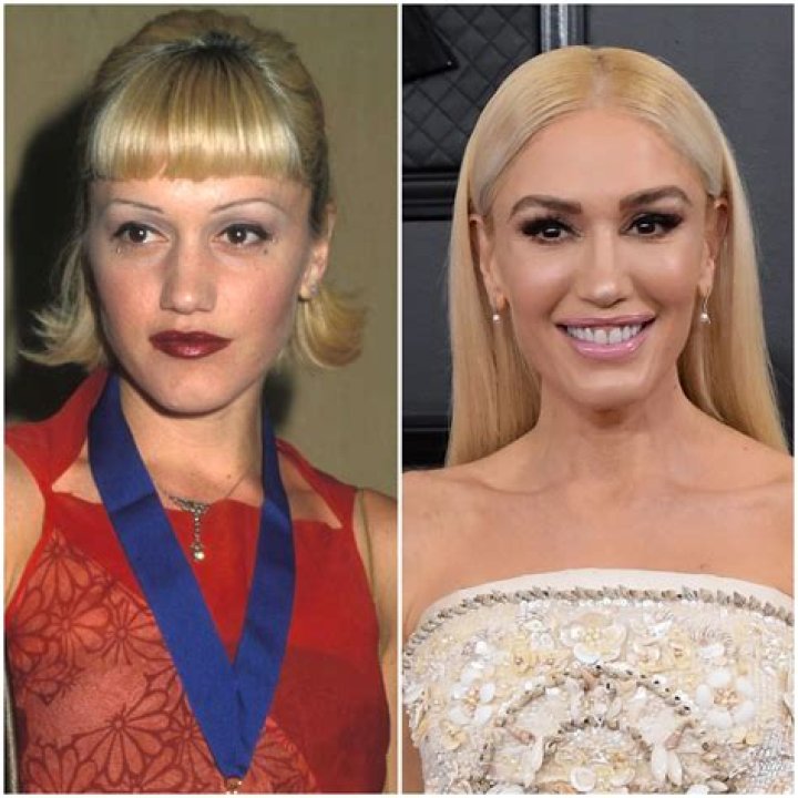 Ageless Beauty! Gwen Stefani’s Transformation Over the Years From No Doubt to Now