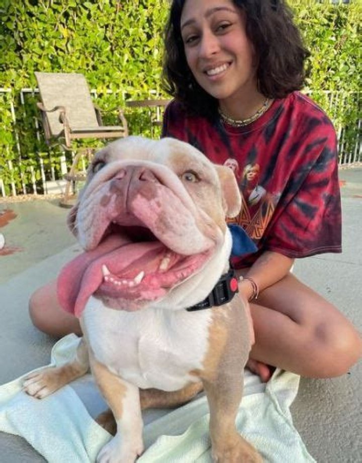 Amanda Mammana (AGT) Wiki, Biography, Age, Boyfriend, Parents, Ethnicity, Net worth, Songs & More