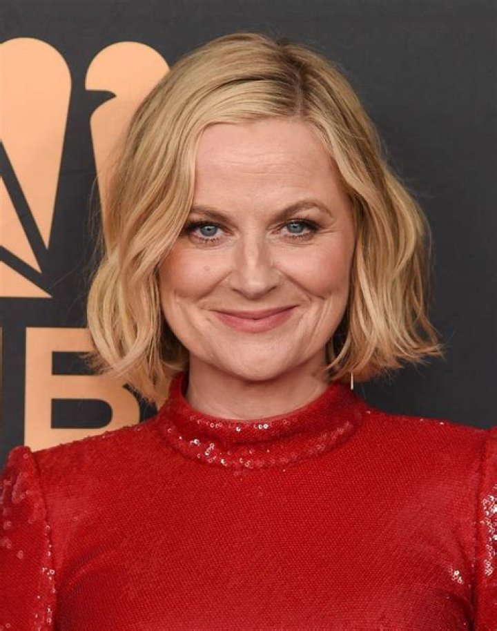 Amy Poehler