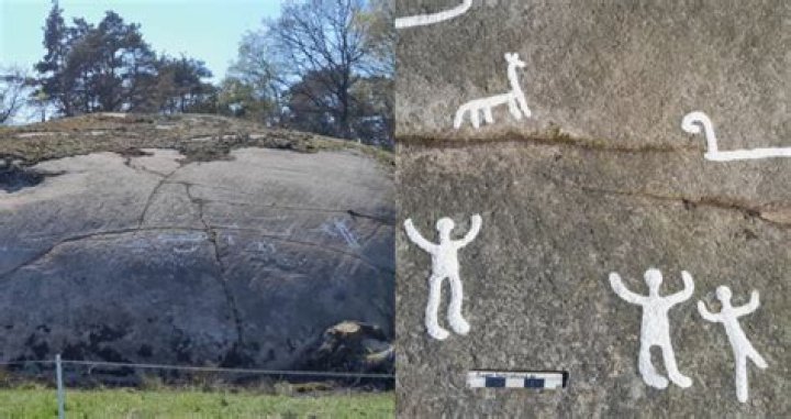 Ancient Petroglyphs Found Under Moss-Covered Rock In Sweden