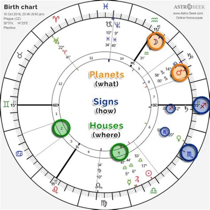 Astrology Birth Chart of Joey Fatts (Rapper) 2024