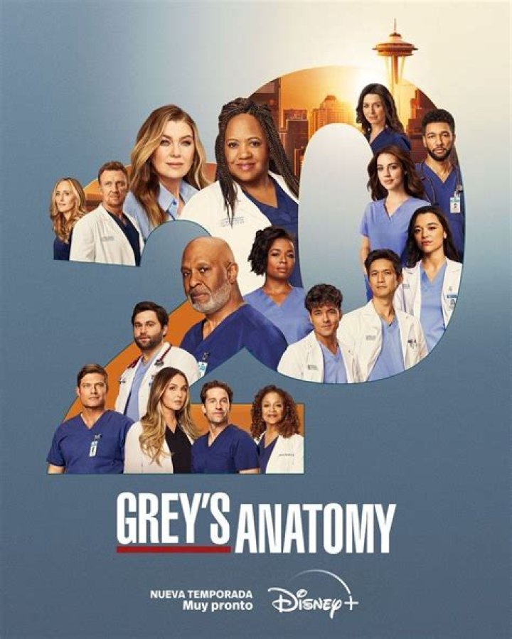 ¿Cuántas temporadas habrá de GREY's Anatomy? – Celebrity.fm