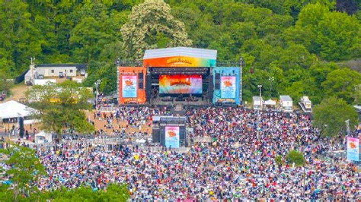 Fans Injured At Lovers & Friends Festival After Alleged Gunshots Were Heard