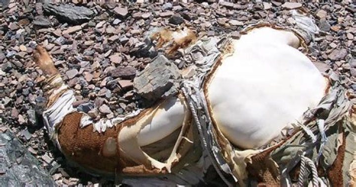 George Mallory, The Everest Climber Whose Body Was Lost For 75 Years