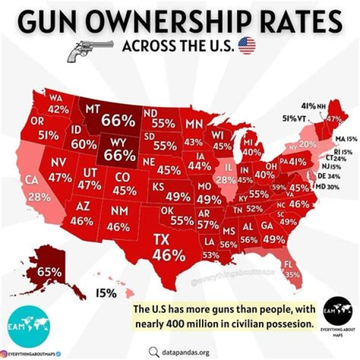 Half Of America's Guns Owned By Just Three Percent Of Adult Population