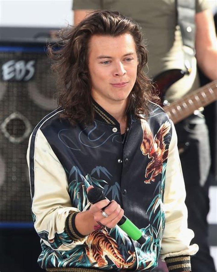 Harry Styles With Straight Hair Kind of Looks Like the Prince From ‘Beauty and the Beast’