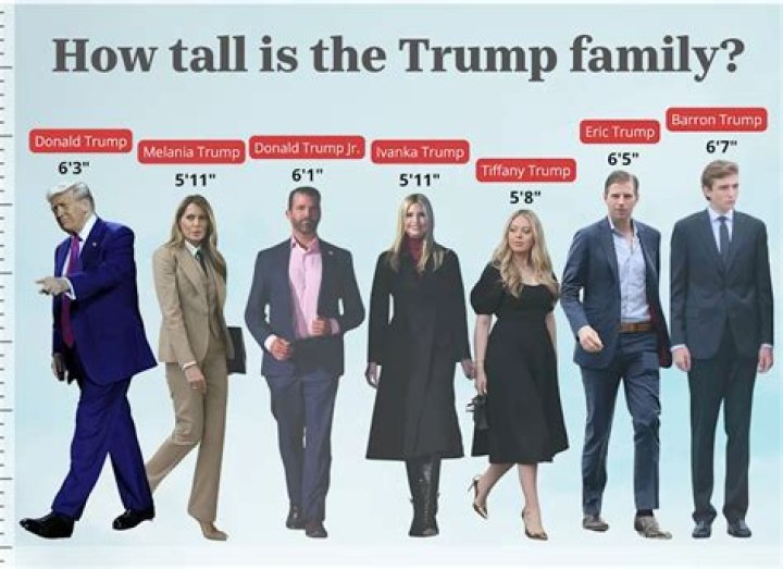 How tall is David Keith
