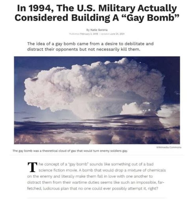 In 1994, The U.S. Military Actually Considered Building A "Gay Bomb"