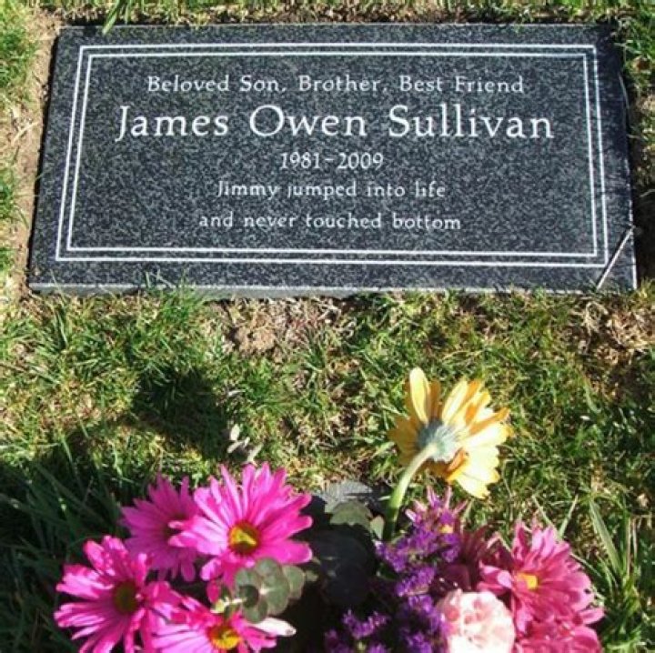 James Owen Sullivan (Drummer) - Age, Birthday, Bio, Facts, Family, Net Worth, Height & More