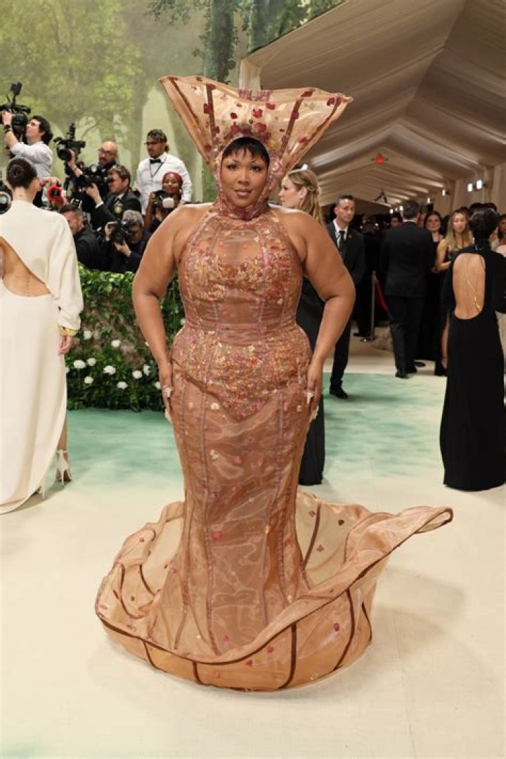 Lizzo's Wild Tree-Inspired Met Gala Dress Leaves Social Media Users Split
