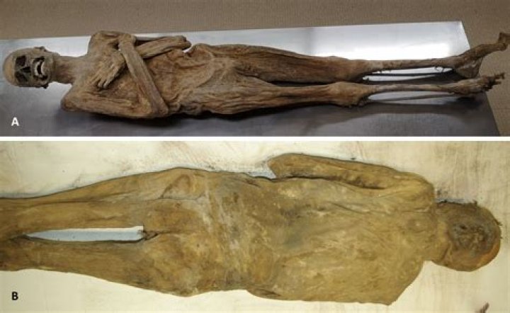 Meet Grauballe Man: The Exceptionally-Preserved 2,300-Year-Old Corpse