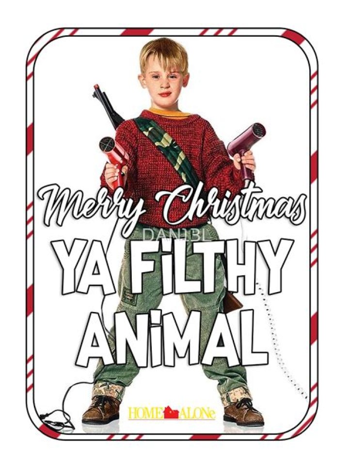 Merry Christmas, Ya Filthy Animal! The Most Iconic Holiday Movie Quotes Will Have You Feeling Festive