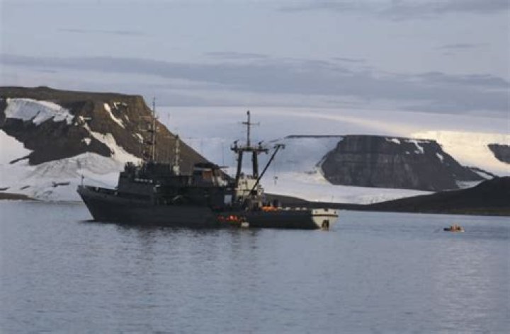 Mother Walrus Sinks Russian Naval Boat During Arctic Expedition
