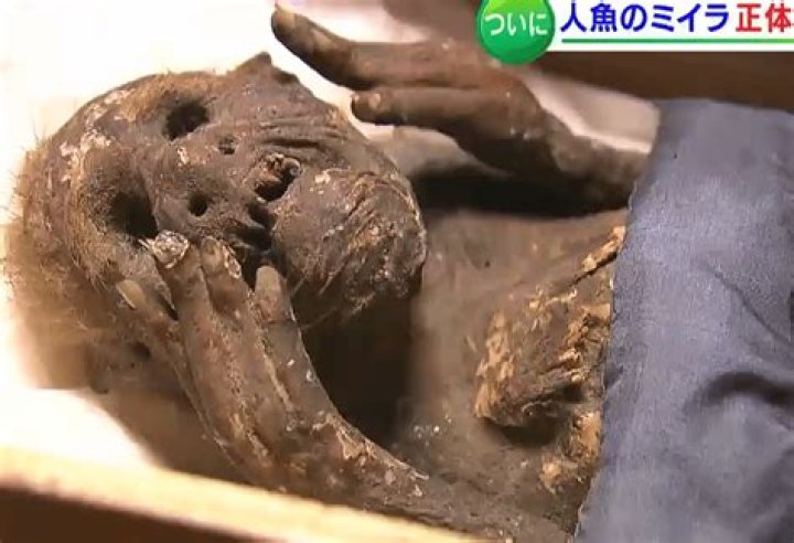 Mysterious 300-Year-Old 'Mermaid' Mummy From Japan Baffles Experts