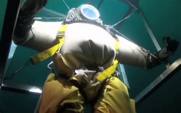 MythBusters Pig in Diving Suit Video, What Happened to the Pig in the Diving Suit?