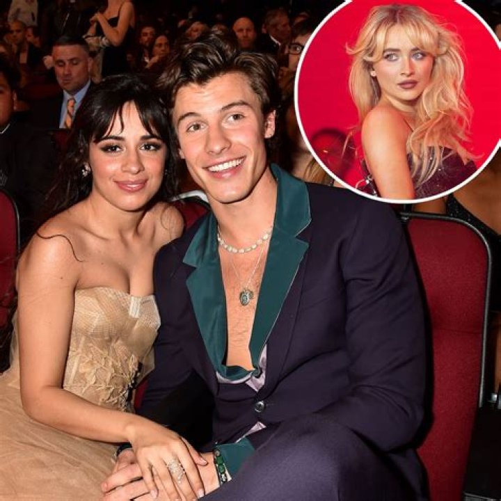 OMGShawn Mendes Refers to His Fling With Camila Cabello as a ‘Relationship’ for the First Time