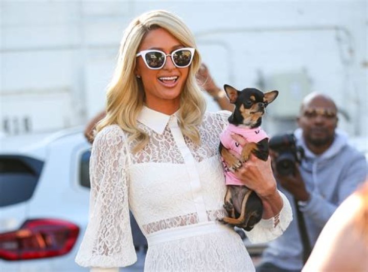 Paris Hilton Net Worth 2023: How Much Is The Heiress Worth?