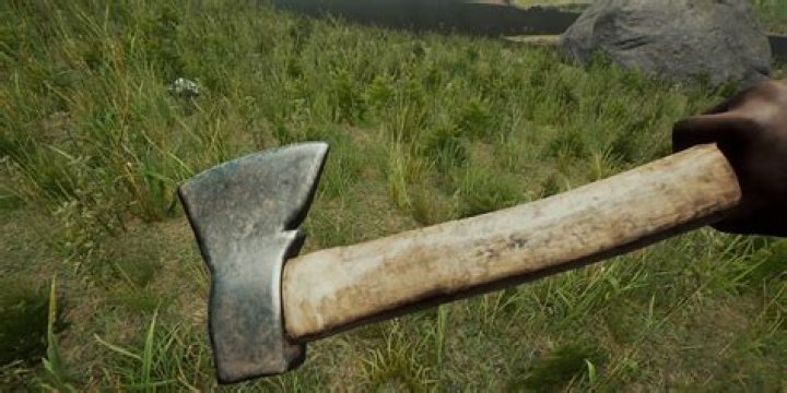 Polish Man Finds 4,500-Year-Old Axe In His Raspberry Bush