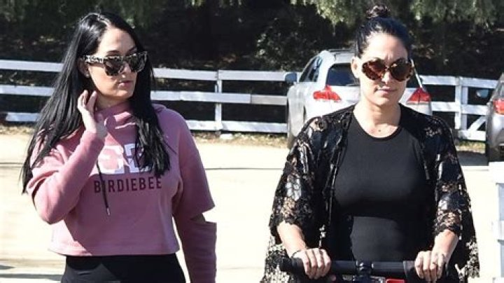 Pregnant Twin Sisters Nikki and Brie Bella Take Little Birdie to the Farmer’s Market in Calabasas