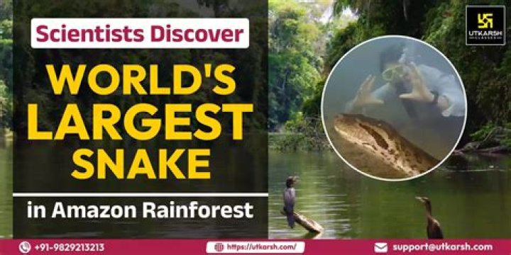 Scientists Discover The World's Largest Snake In The Amazon