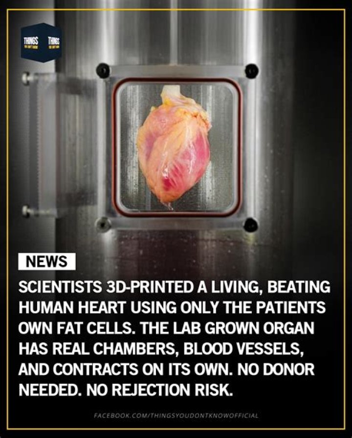 Scientists Grow Beating Human Heart From Stem Cells