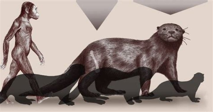 Scientists Have Discovered A Prehistoric Otter The Size Of A Lion