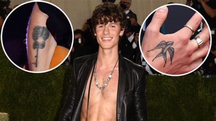 Shawn Mendes Has a Huge Tattoo Collection: Here’s a Breakdown of the Meanings Behind His Ink