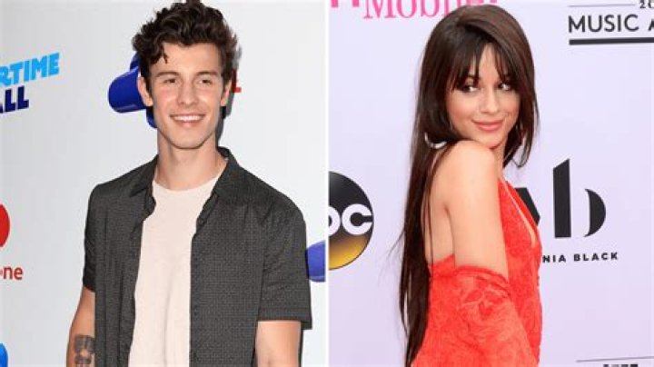 Supportive Exes! Camila Cabello Shares Shawn Mendes’ ‘It’ll Be OK’ Song With Her Fans 