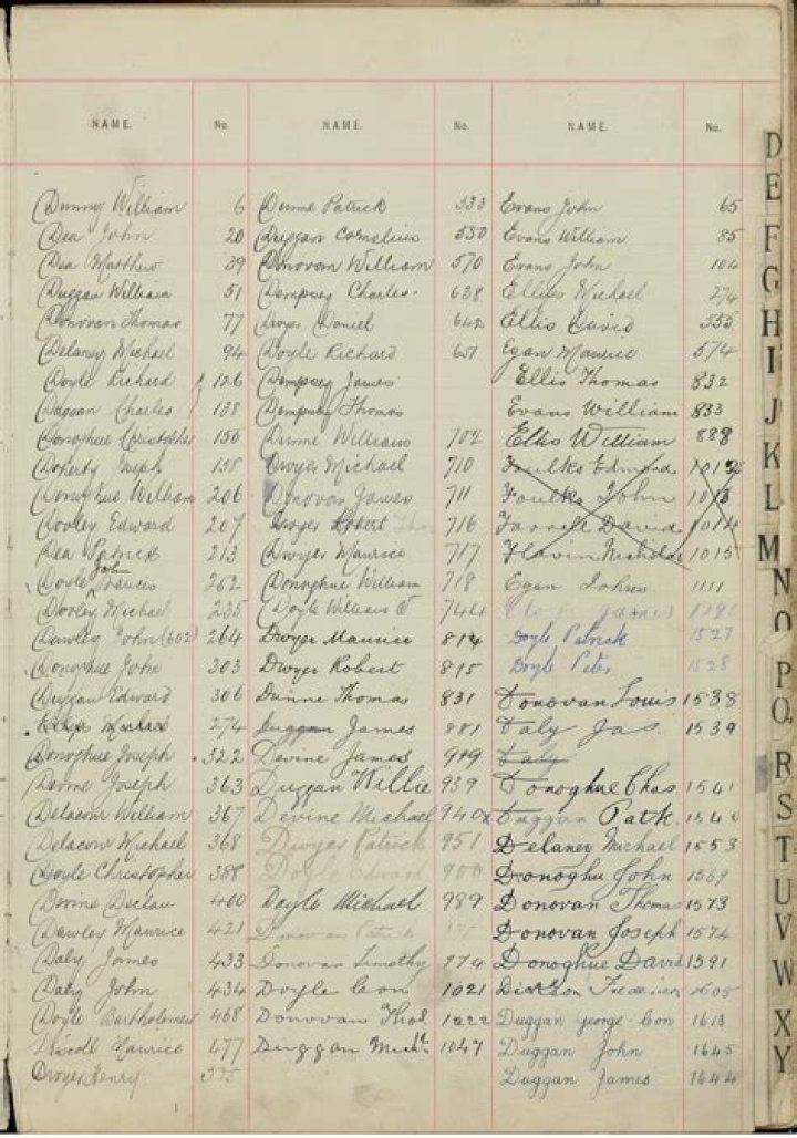 Surnames: D