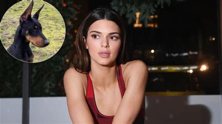 The Cutest Pup! Kendall Jenner Shares Adorable Photo of Her Dog — and Finally Reveals Her Name