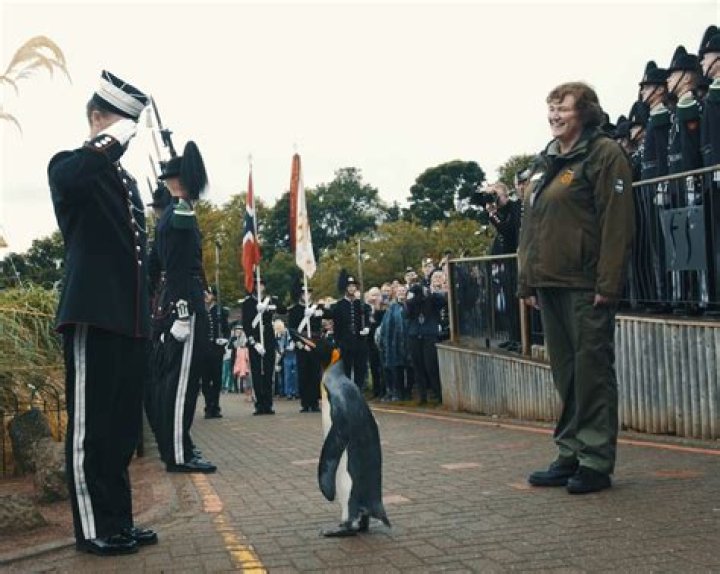 The Penguin Colonel-in-Chief Of The Norwegian King's Guard