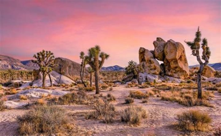 The Squatters' Paradise In The California Desert