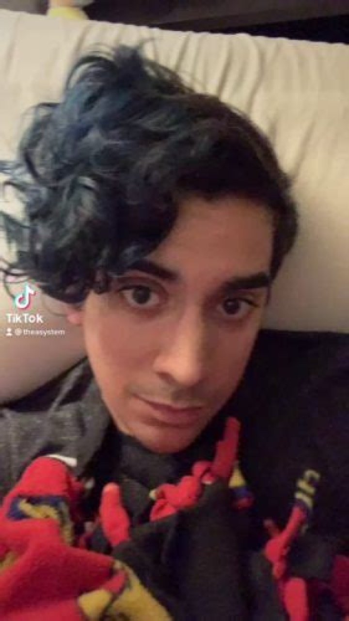 theasystem Age | Wiki, Net worth, Bio, Height, Girlfriend