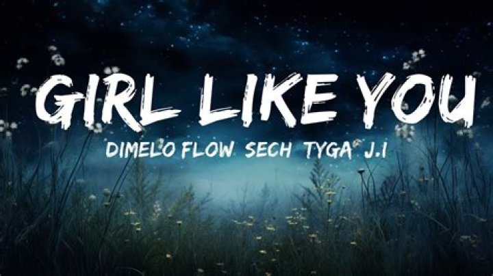 Tyga & J.I. Assist Dimelo Flow & Sech On "Girls Like You"