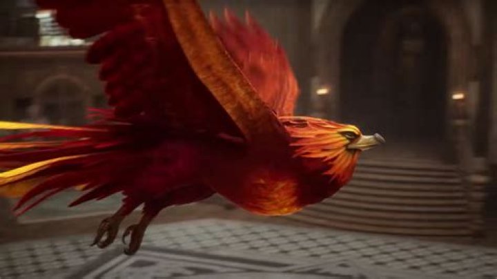 What is the broom called in Harry Potter? – Celebrity.fm – #1 Official Stars, Business & People Network, Wiki, Success story, Biography & Quotes