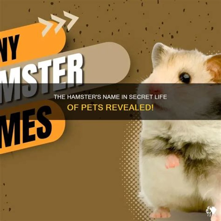 What is the hamster’s name in G-Force? – Celebrity.fm – #1 Official Stars, Business & People Network, Wiki, Success story, Biography & Quotes