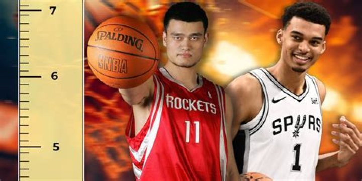 Who is the tallest NBA player right now? – Celebrity.fm – #1 Official Stars, Business & People Network, Wiki, Success story, Biography & Quotes
