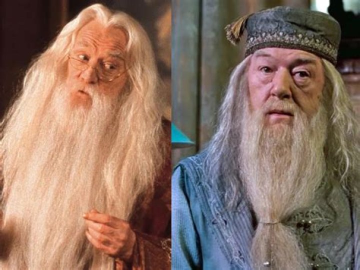 Why was Dumbledore picture sleeping in the portrait?